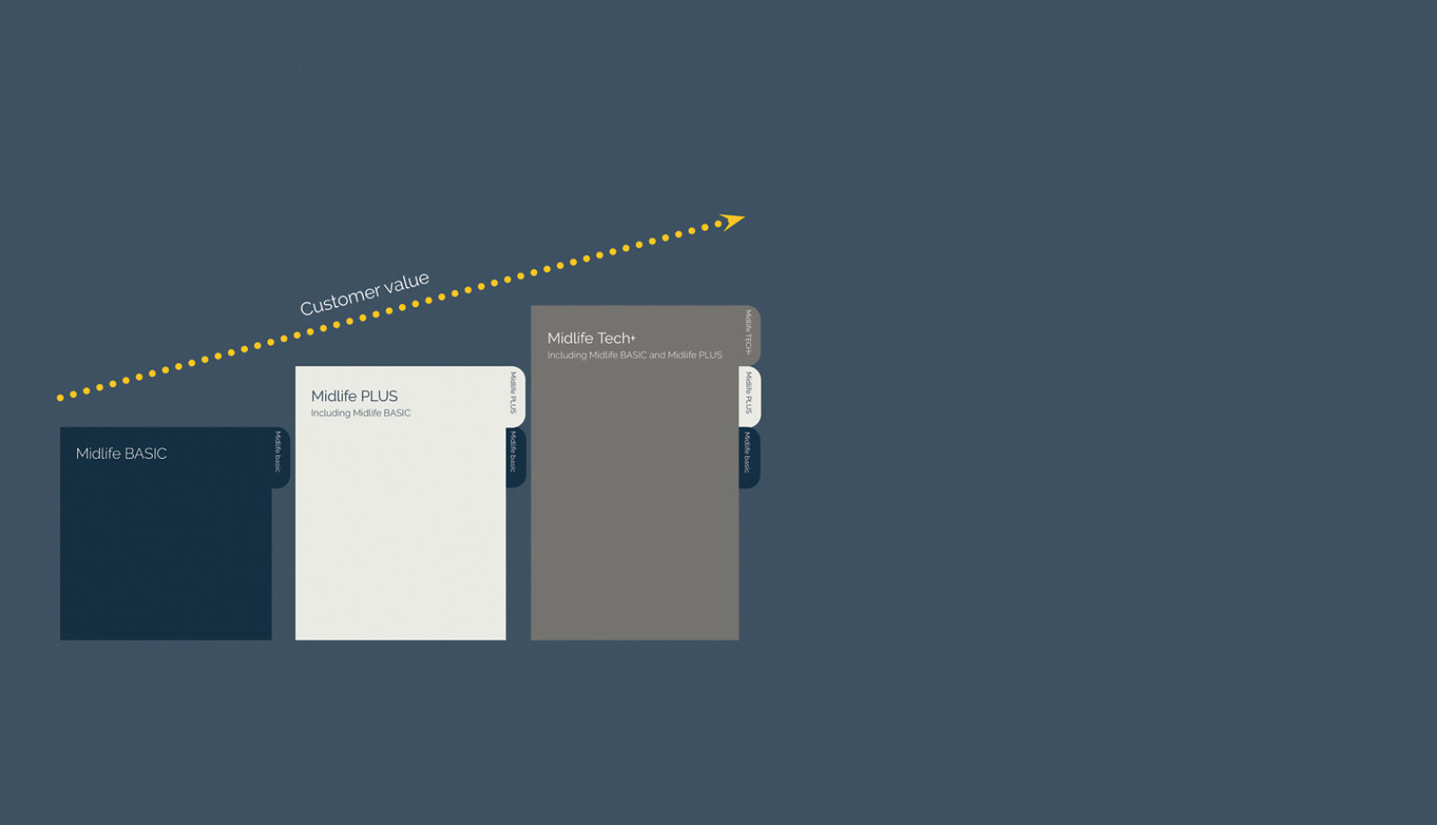 3 levels of Midlife services